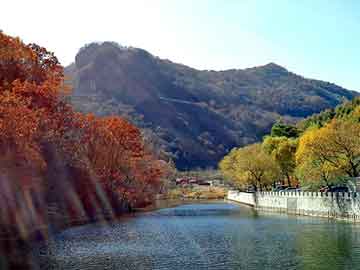 新澳天天开奖资料大全旅游团，同仁圣方骨康膜